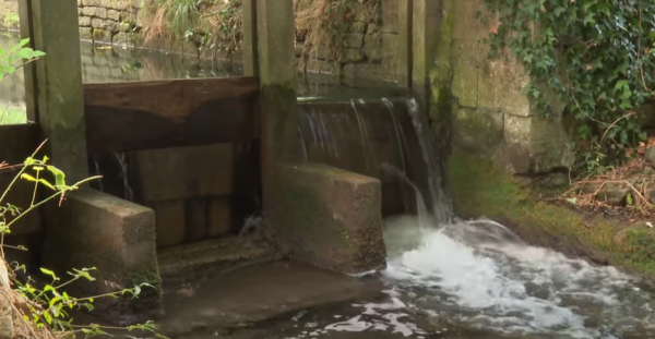 Record du nombre de suppressions de barrages dans les rivières