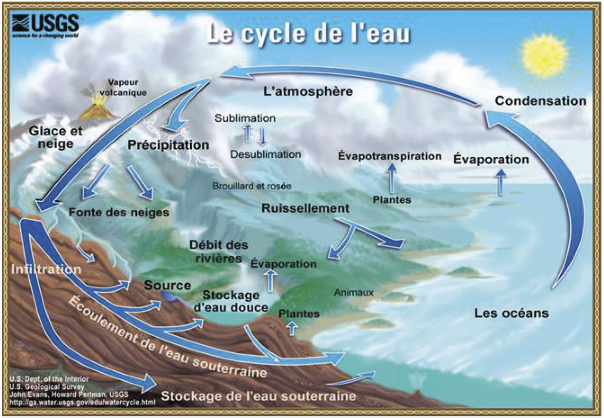 L’eau dans le sol : amie ou ennemie ? (1ère partie) - La Revue EIN